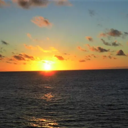 Viva Mar Sol Y Mar - A47268